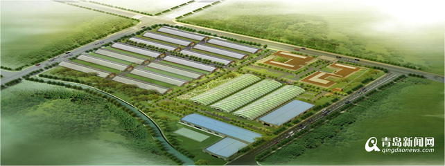 13個現代農業項目落戶西海岸，總投資52億元